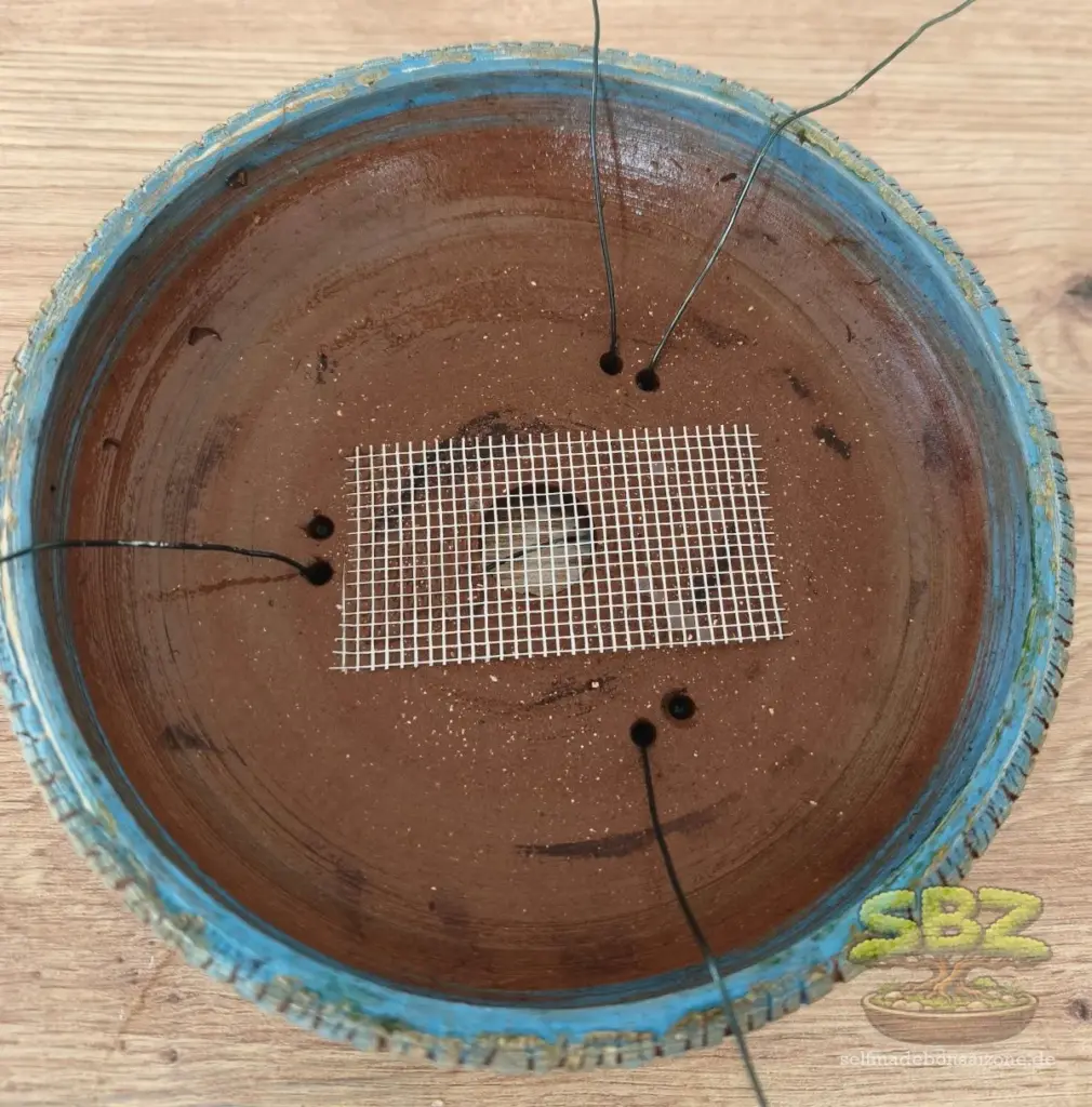 Blaue Bonsaischale welche für das Umtopfen vorbereitet ist mit Abdeckgitter über den Ablauflöchern und Befestigungsdraht aus der Anleitung für Bonsai Anfänger wie man einen Bonsai richtig umtopft.